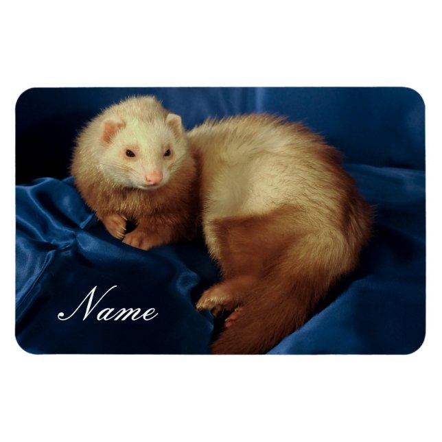 Imán Mascota Ferret personalizado (Horizontal)