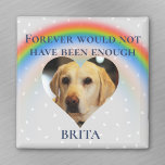 Imán Mascota Gato Gato Gato Gato Gato Gato Gato Arcoiri<br><div class="desc">Este diseño puede ser personalizado en el área proporcionada cambiando la foto y/o el texto. O puede personalizarse eligiendo la opción de hacer clic en el personalizar y borrar o cambiar el color del fondo, agregar texto, cambiar el color o estilo del texto o eliminar el texto para un diseño...</div>