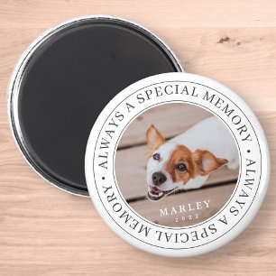 Imán Mascota memorial siempre es una memoria especial m