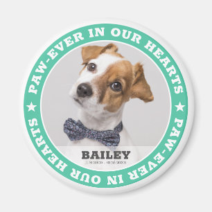 Imán Mascota Memorial simple Personalizado moderno foto