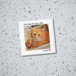 Imán Mascota personalizado de fotografía grande de pers