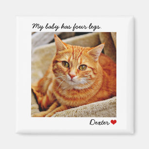Imán Mascota personalizado de fotografía grande de pers