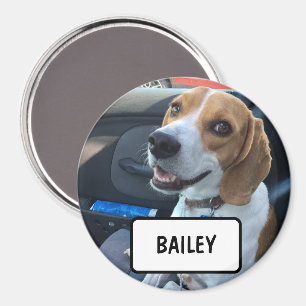 Imán Mascota personalizado Foto