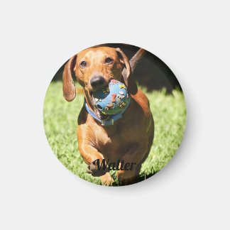 Imán Mascota personalizado Foto y texto