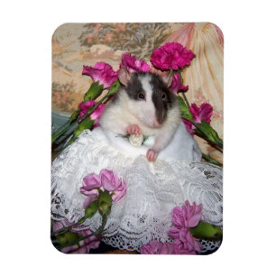 Imán Mascota Rat Bride Trudy Magnet Flexible
