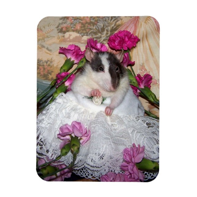 Imán Mascota Rat Bride Trudy Magnet Flexible (Vertical)