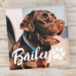 Imán Mascota Simple y Moderno Nombre y foto de la tipog<br><div class="desc">Este diseño sencillo y moderno se compone de una tipografía de escritura moderna y sencilla. Añadir foto de mascota personalizado.</div>