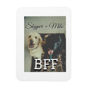 Imán Mascotas amigos bestias agregar nombre mascota fot