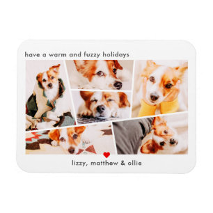 Imán Mascotas Personalizado simple moderno 6 imágenes C