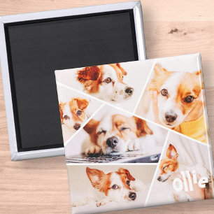 Imán Mascotas Personalizado simple moderno 6 imágenes C