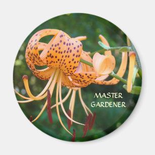 Imán MASTER GARDENER Magnet Naranja Tiger Lilies Magnet