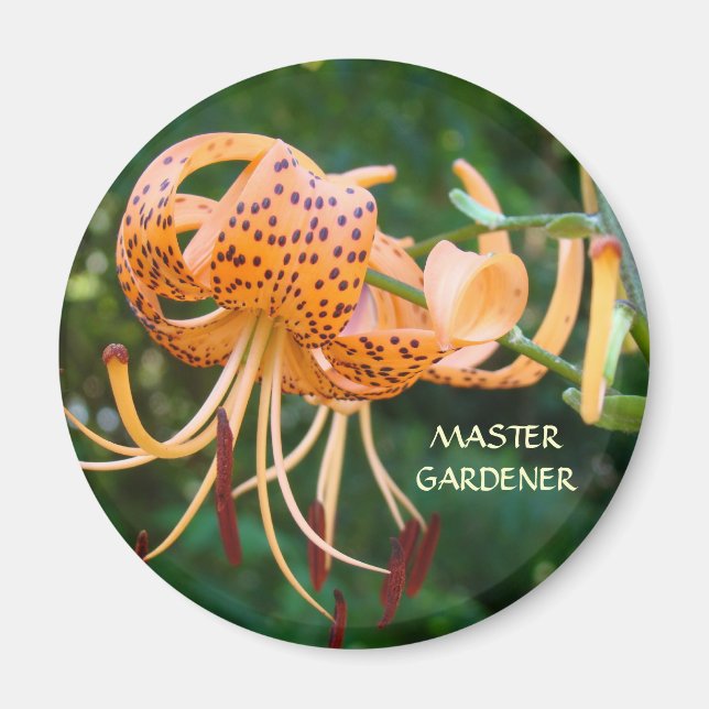 Imán MASTER GARDENER Magnet Naranja Tiger Lilies Magnet (Frente)