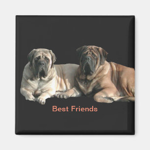 Imán Mastiff Best Friends