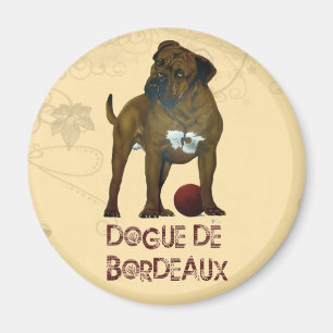 Imán Mastiff de Francia