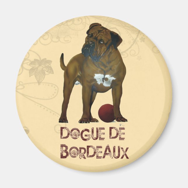 Imán Mastiff de Francia (Frente)