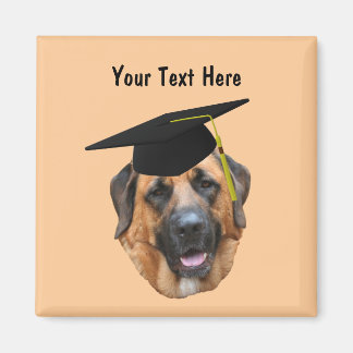 Imán Mastiff En La Graduación Cap Funny Dog Magnet