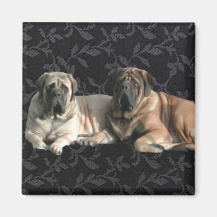 Imán Mastiff Magnet