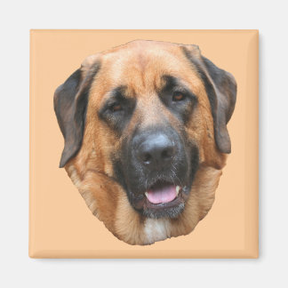 Imán Mastiff Mix Dog Magnet