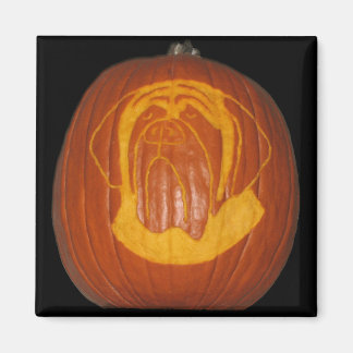 Imán Mastiff Pumpkin Magnet