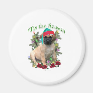 Imán Mastiff ‘Tis