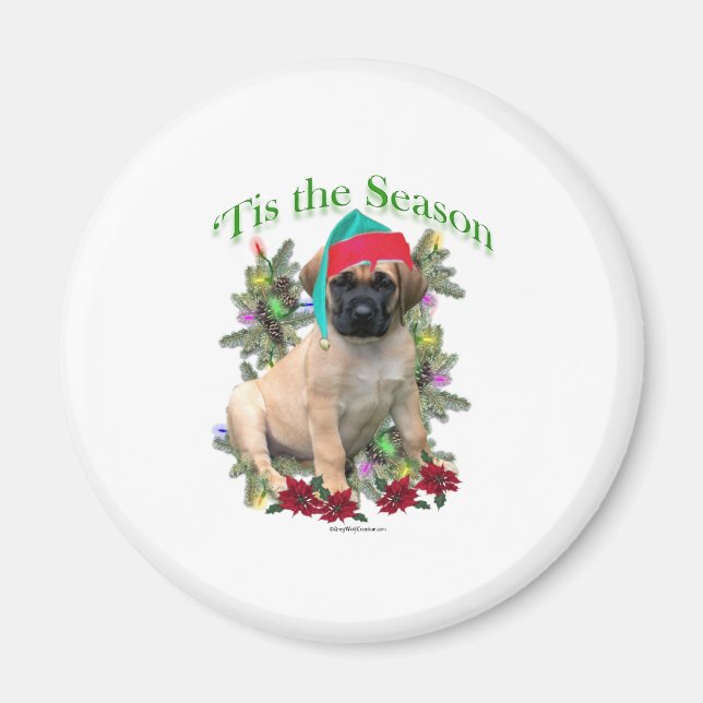 Imán Mastiff ‘Tis (Frente)