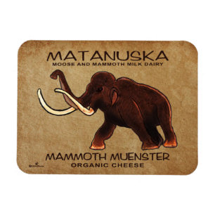 Imán Matanuska Mammoth Muenster Cheese