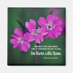 Imán Mateo 18:20 Dos o tres juntas en mi nombre