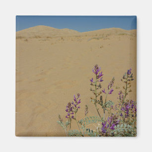 Imán Mato de Índigo de Mojave y Dunas de Kelso