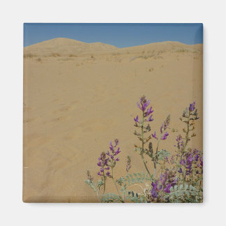 Imán Mato de Índigo de Mojave y Dunas de Kelso