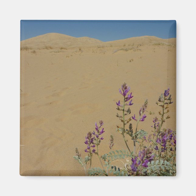 Imán Mato de Índigo de Mojave y Dunas de Kelso (Frente)