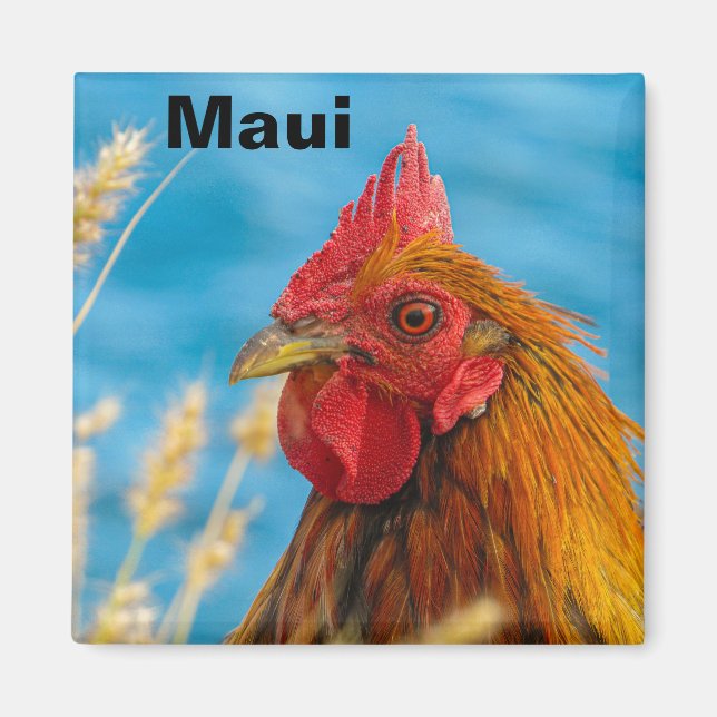 Imán Maui Chicken Magnet (Frente)