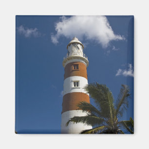 Imán Mauricio, Mauricio Occidental, Belle Vue, Albión