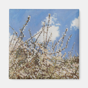 Imán Mayflower 2012