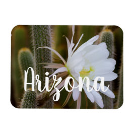 Imán Mayo en el jardín, Arizona