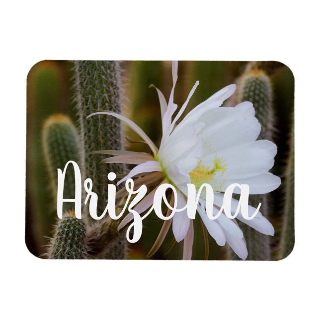 Imán Mayo en el jardín, Arizona (Horizontal)