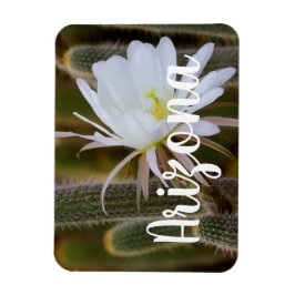 Imán Mayo en el jardín, Arizona