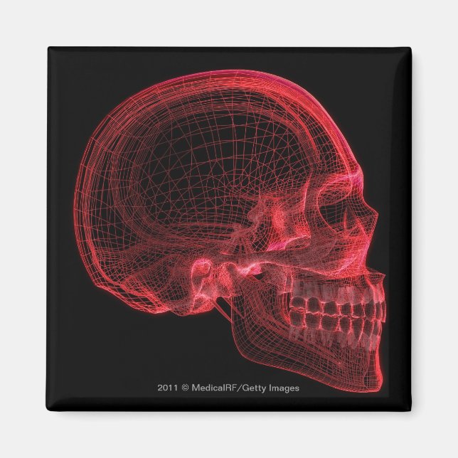 Imán Mazo rojo de un cráneo (Frente)