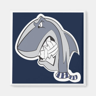 Imán MBB '04 | Calamita