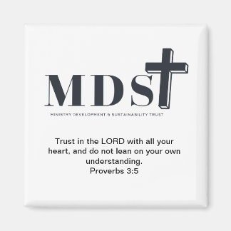 Imán MDST Fridge Magnet 1