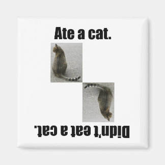 Imán Me Comí Un Gato.