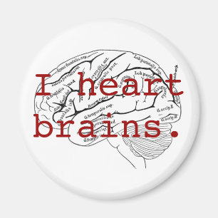 Imán Me dan el corazón el cerebro.