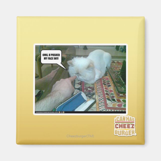 Imán ¡Me empujaste la cara! (Frente)