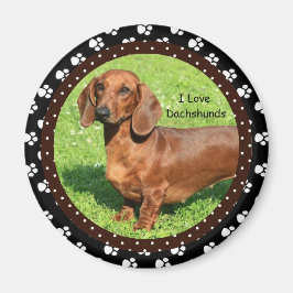 Imán Me encanta Dachshunds 2 Magnet