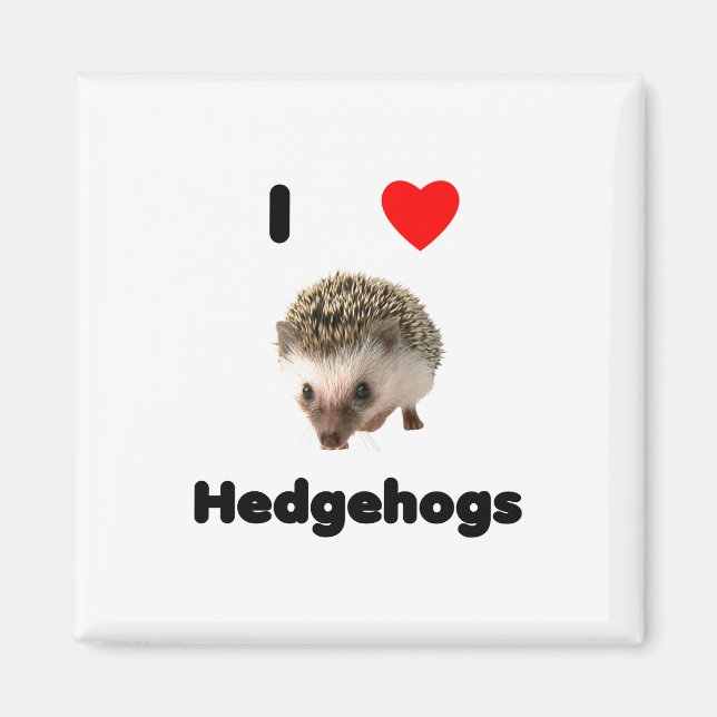 Imán Me encanta el hedgehogs Magnet (Frente)