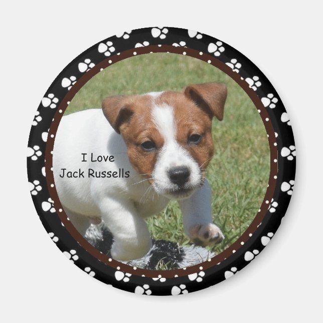 Imán Me encanta Jack Russells Magnet (Frente)