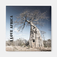 Me encanta la foto de Africa Baobab Tree