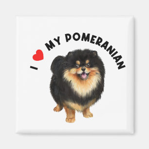 Imán Me encanta mi arte pomerano de perros copiosos pan
