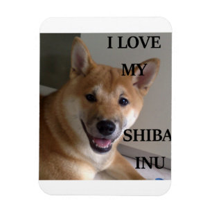 Imán me encanta mi foto de shiba inu