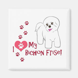 Imán ¡Me Encanta Mi Frise Bichon!
