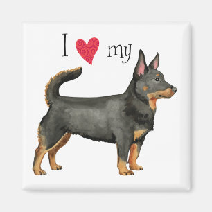 Imán Me encanta mi Heeler de Lancashire